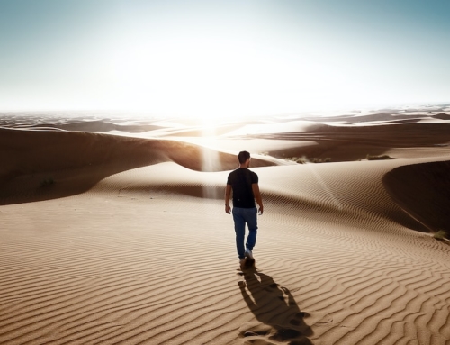 IL DESERTO: TENTAZIONE E VITTORIA!